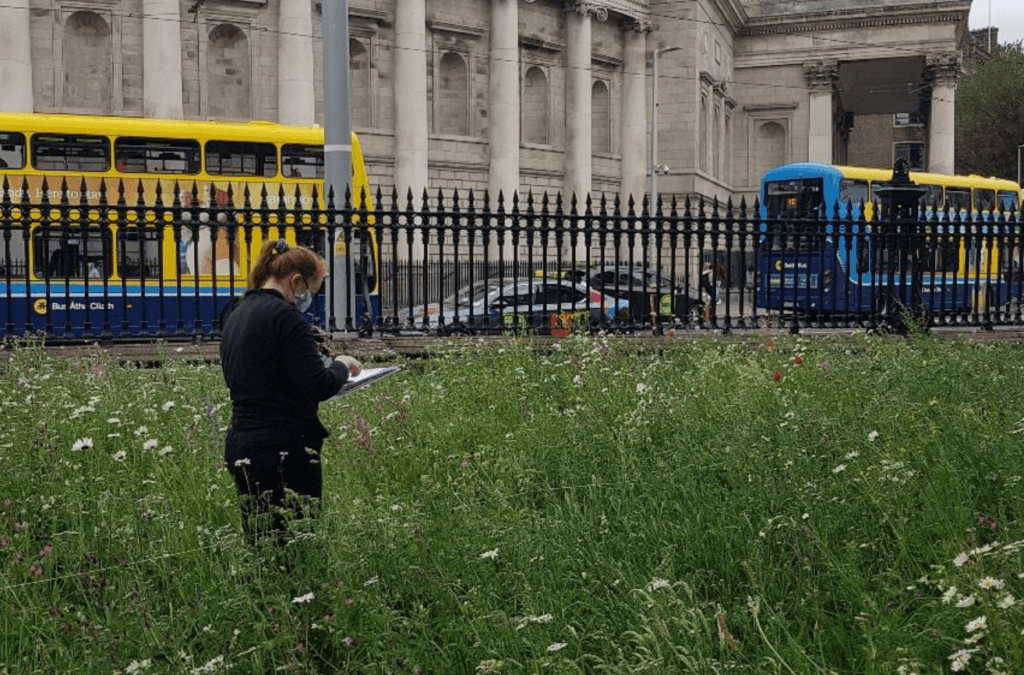 Trinity College Dublin completes pilot biodiversity audit