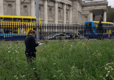 Trinity College Dublin completes pilot biodiversity audit