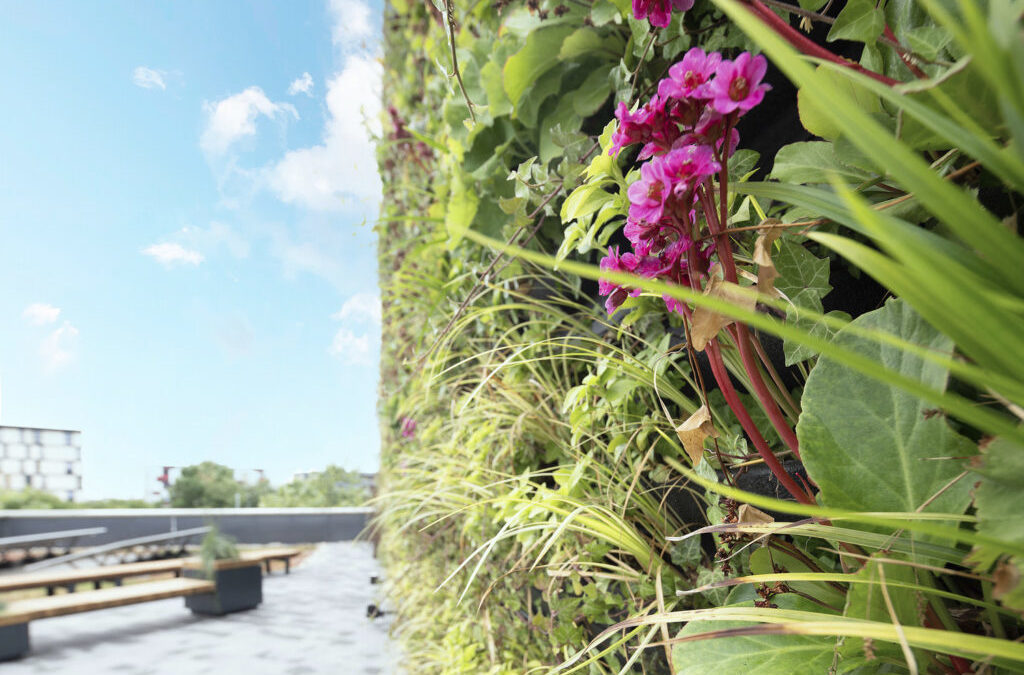 Green walls at University of Lincoln, UK