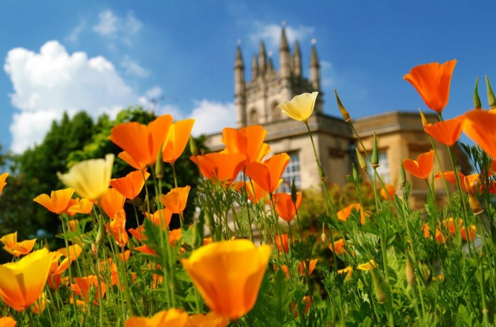 University of Oxford publishes biodiversity footprint