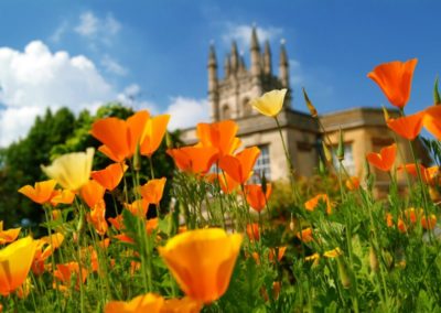 University of Oxford publishes biodiversity footprint