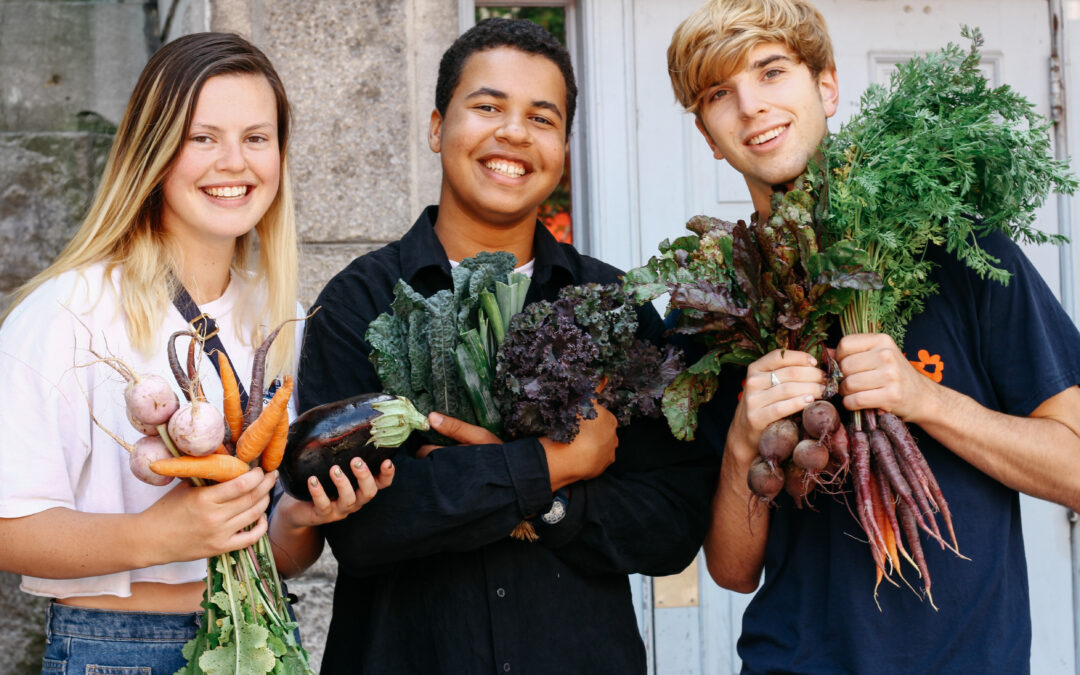 Student-run gardens and urban agriculture at McGill