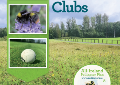 Pollinator-friendly management of sports clubs