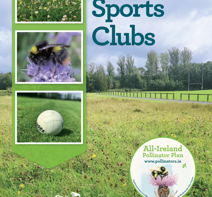 Pollinator-friendly management of sports clubs