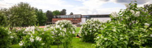 Picture of University of Jyvaskyla campus buildings with flowering shrubs in foreground