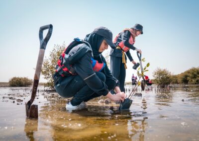 National Day mangrove planting project at Ajman University, United Arab Emirates