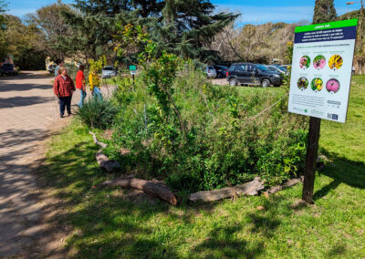 “Meet the floral visitors of FAUBA”, University of Buenos Aires, Argentina