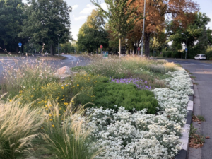 Example of mixed perennial planting by the City of Göttingen (photo by City of Göttingen)