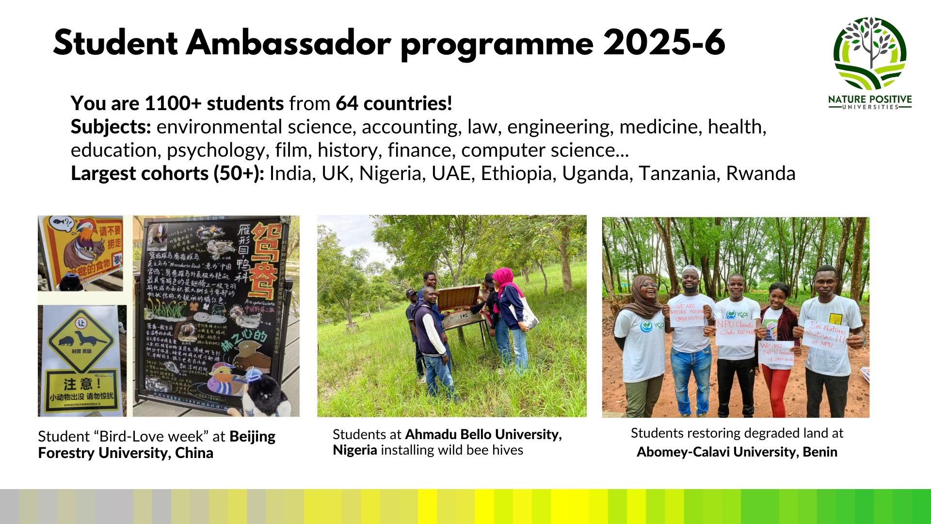 Workshop 1 slides - 28th November 2025 (1)